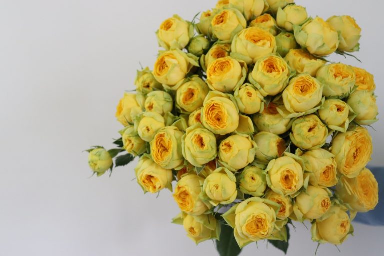 WhatsApp Image 2025-05-28 at 10.36.25_87faa37b