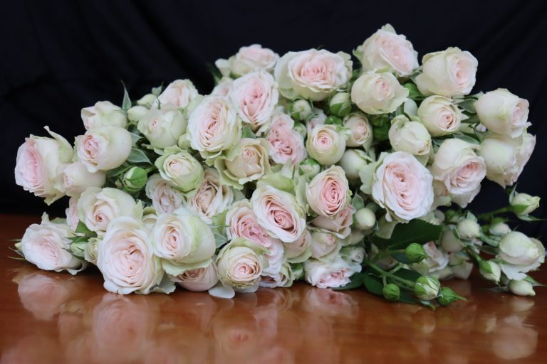 WhatsApp Image 2025-05-28 at 10.36.27_4767d62f