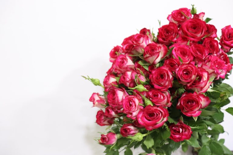 WhatsApp Image 2025-05-28 at 10.36.31_1f52c225