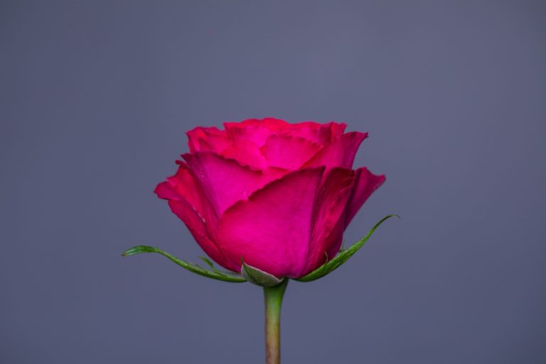 WhatsApp Image 2025-05-28 at 10.36.40_40f787cf