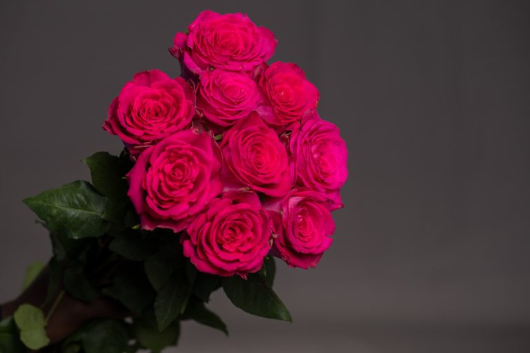 WhatsApp Image 2025-05-28 at 10.36.41_63cf08b3